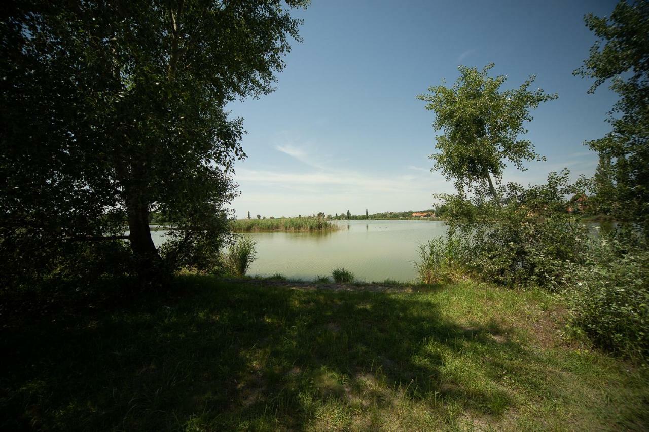 Part Apartman Apartment Палич Екстериор снимка